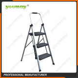 Folding ladders