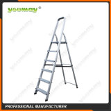 Folding ladders