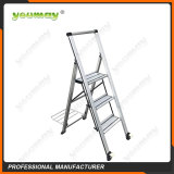 Folding ladders