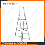 Folding ladders