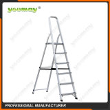 Folding ladders