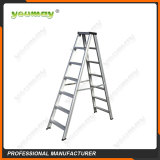 Double-sided ladders