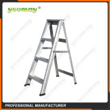 Double-sided ladders