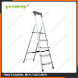 Folding ladders