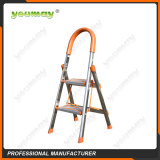 Folding ladders