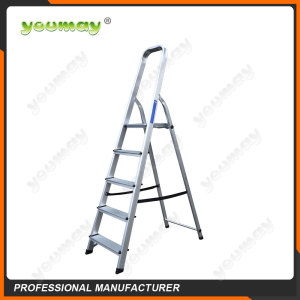 Folding ladders