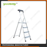 Folding ladders