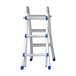 Multi-purpose ladder