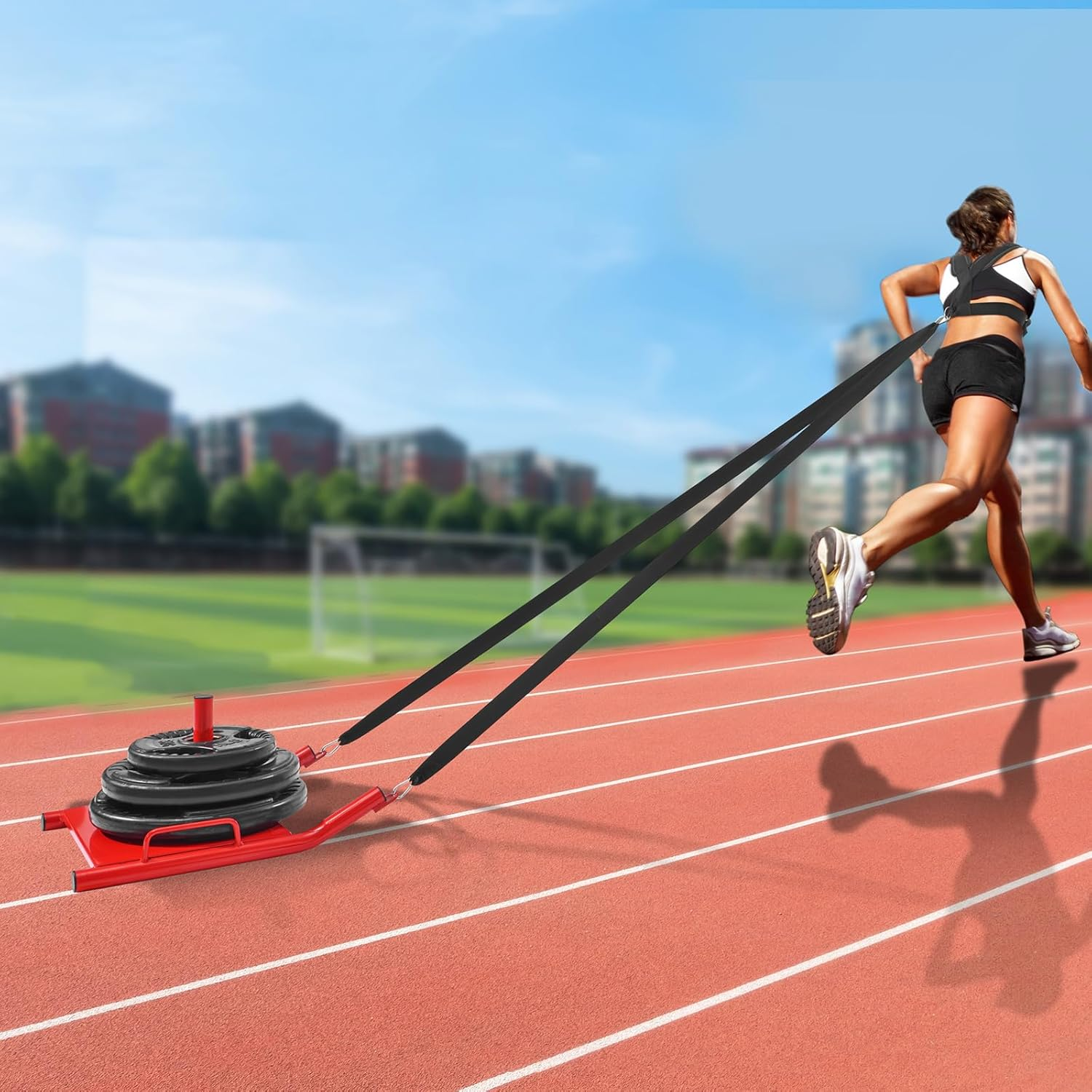 Fitness Pull Sled