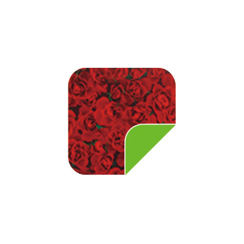 P028 Red Rose/Green