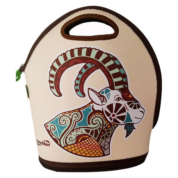 Magic multi-function lunch  bag FR-W019
